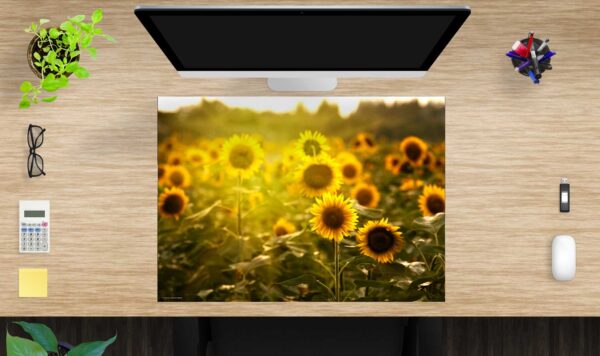 Schreibtischunterlage Sonnenblumenfeld aus Vinyl