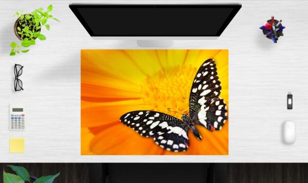 Schreibtischunterlage schwarz-weißer Schmetterling aus Vinyl