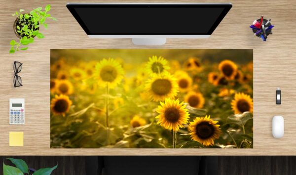Schreibtischunterlage groß Sonnenblumenfeld aus Vinyl