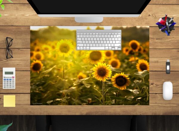 Schreibtischunterlage - Sonnenblumenfeld - aus Vinyl