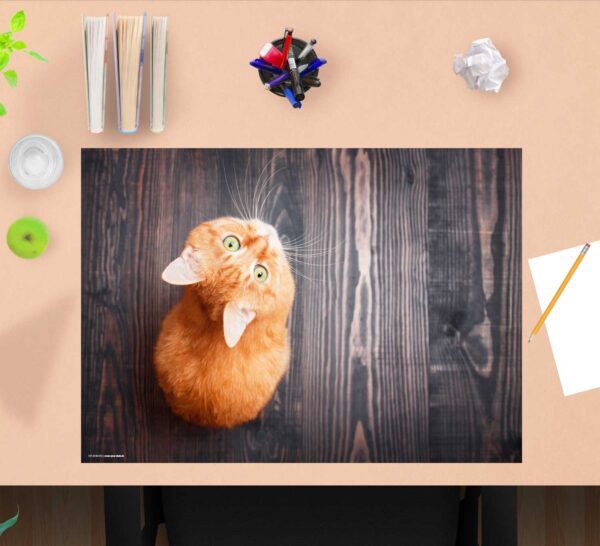 Schreibtischunterlage - Orange Katze - aus Vinyl