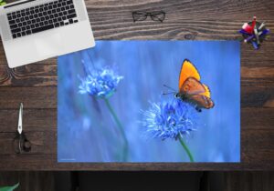Schreibtischunterlage - Orangener Schmetterling - aus Vinyl