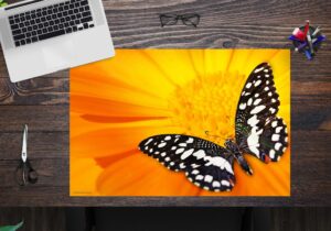 Schreibtischunterlage - Schwarz-weißer Schmetterling - aus Vinyl