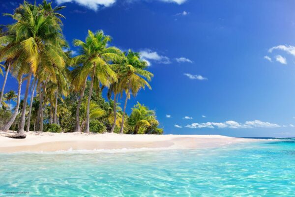 Schreibtischunterlage - Palmen am Meer - aus Vinyl