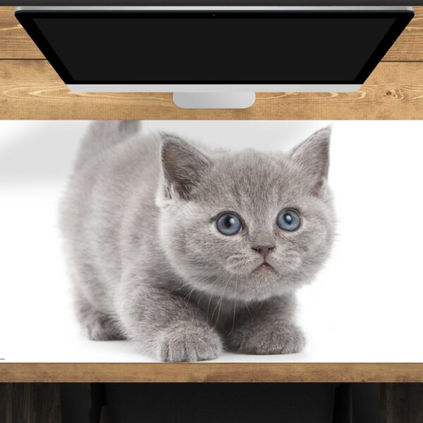  Katzentablett für Eingangstisch - Lustige Deko-Tablett-Figur aus  Kunstharz Katze - Moderner  Katzenfiguren-Schalen-Desktop-Organizer-Container für Wohnzimmer, Eingang,  Arbeitszimmer, Zuhause, Ziurmut