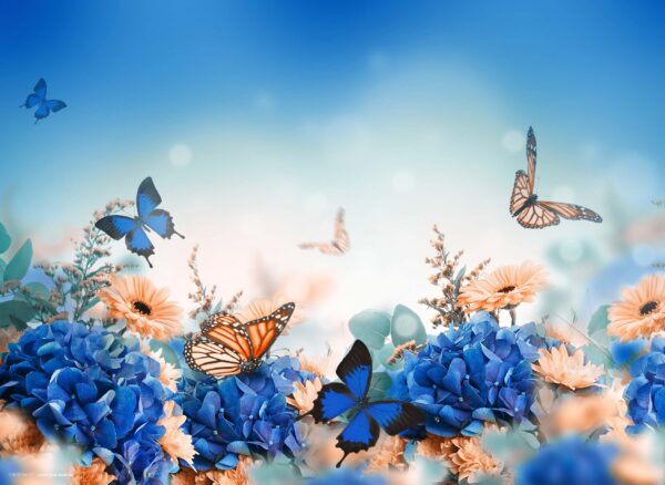 Frühlingswiese mit Schmetterling