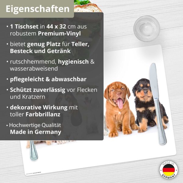 5 süße Hundewelpen