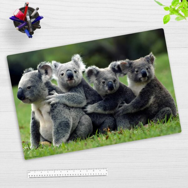 Koala Familie