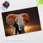 Elefant in der Steppe