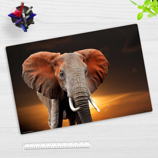 Elefant in der Steppe
