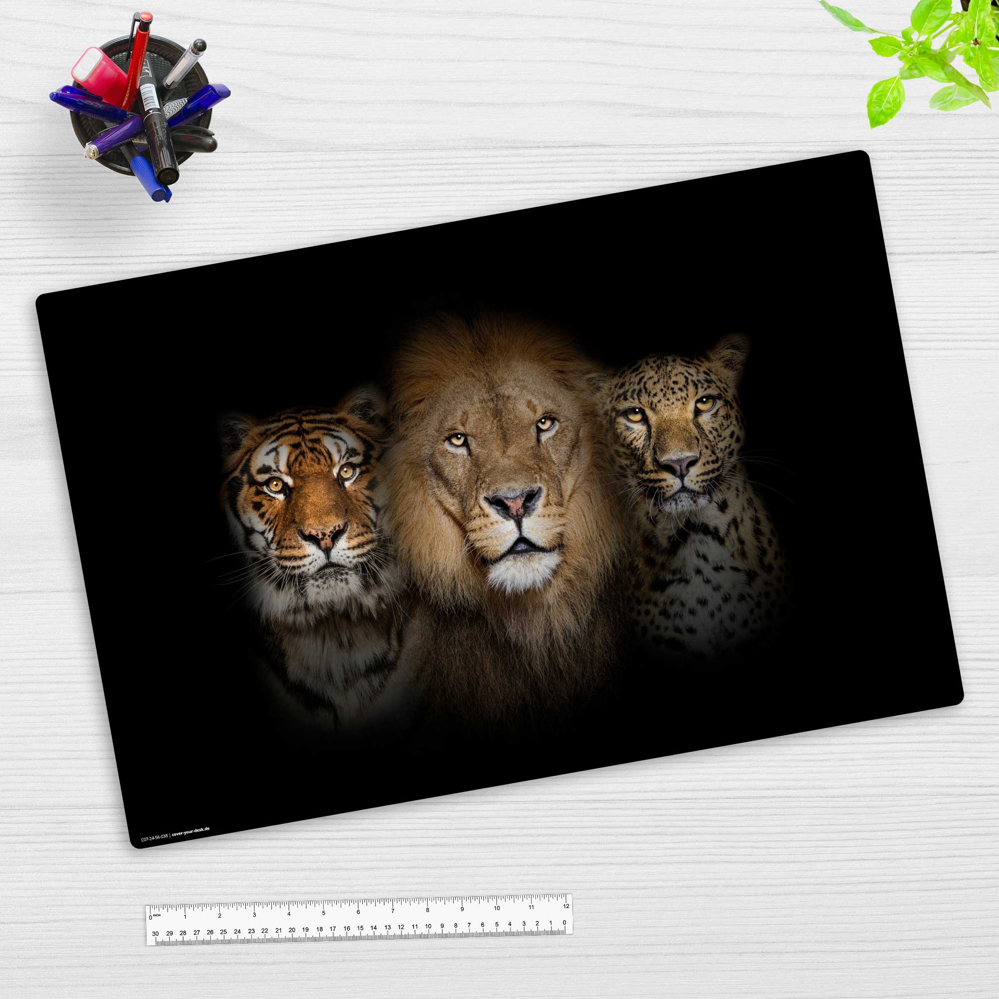 Raubkatzen Löwe, Tiger, Leopard – Schreibtischunterlage 60 x 40 cm