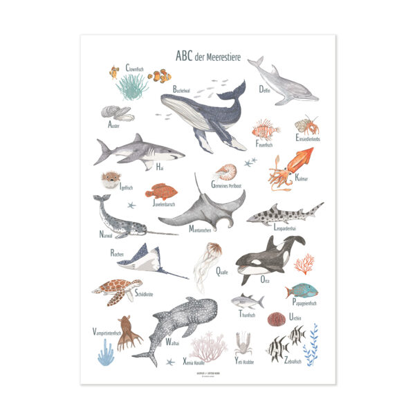 Lernposter für Kinder – „ABC der Meerestiere“ - Wandbild 50 x 70 cm aus Premiumpapier