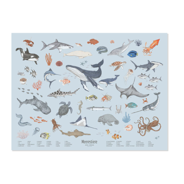 Lernposter für Kinder „Meerestiere“ – Wandbild 60 x 80 cm auf 200 g Premiumpapier