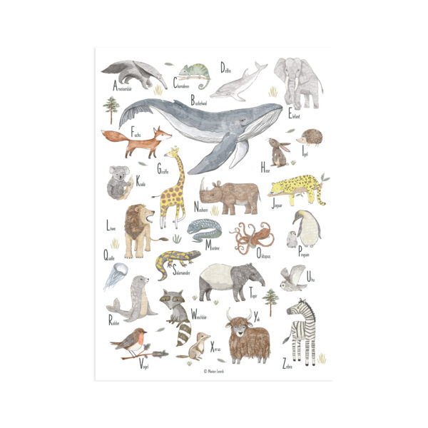 Lernposter für Kinder – „Tier ABC“ - Wandbild 50 x 70 cm aus Premiumpapier