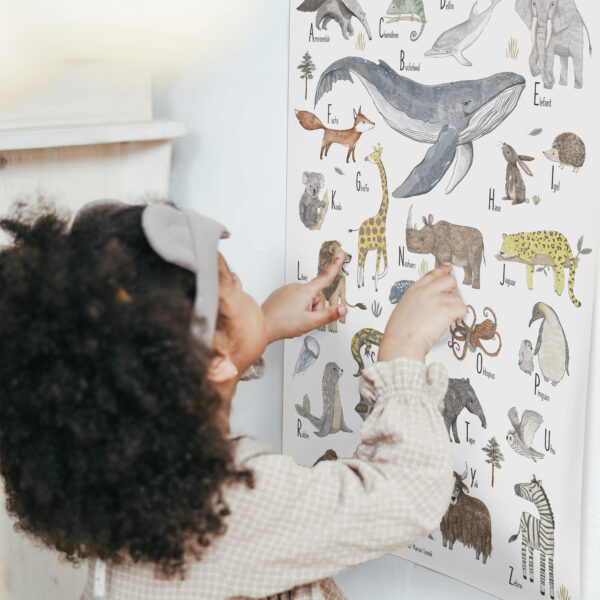 Lernposter für Kinder – „Tier ABC“ - Wandbild 50 x 70 cm aus Premiumpapier – Bild 5