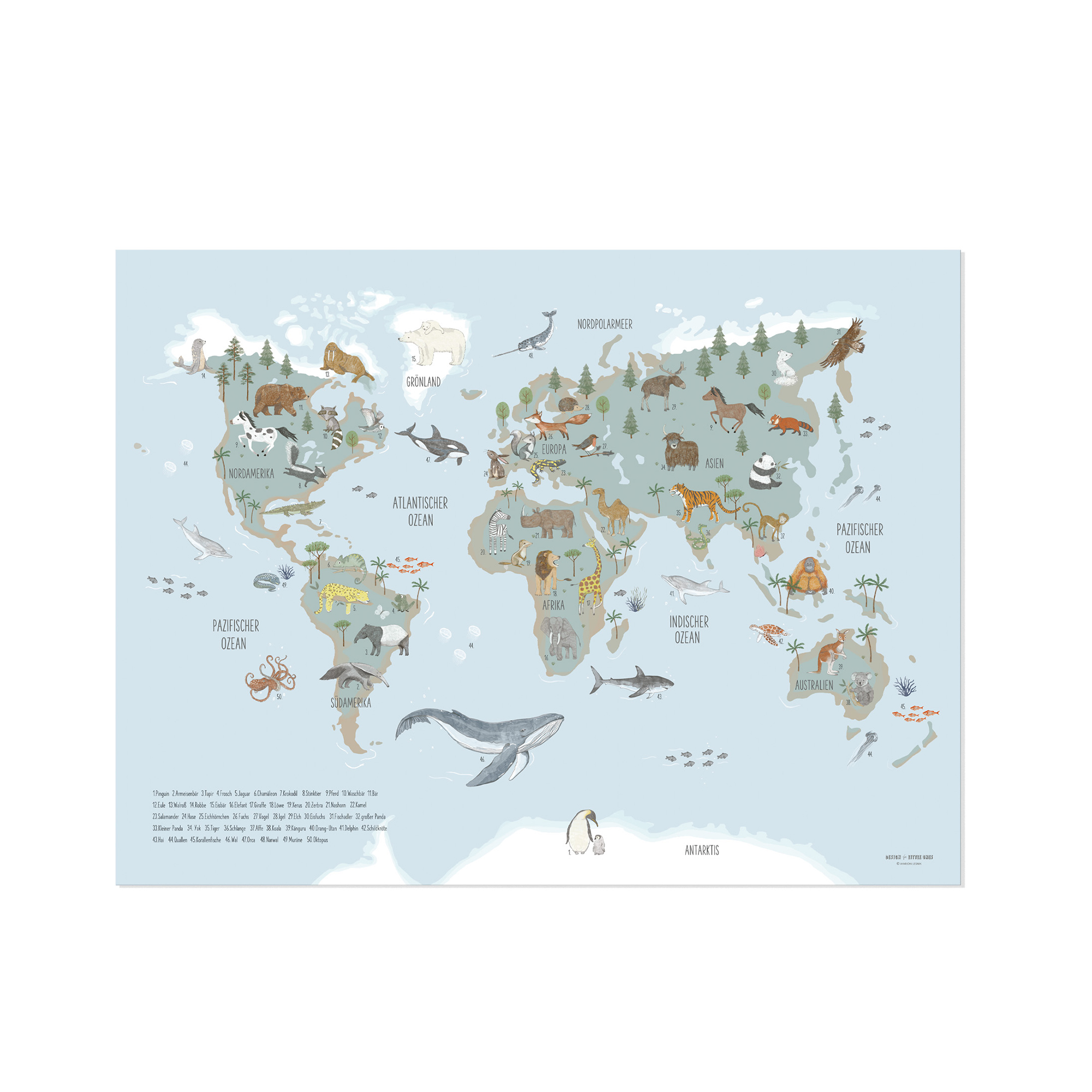 Lernposter für Kinder „Tiere dieser Welt Blau“ – Weltkarte Wandbild 60 x 80 cm auf Premiumpapier