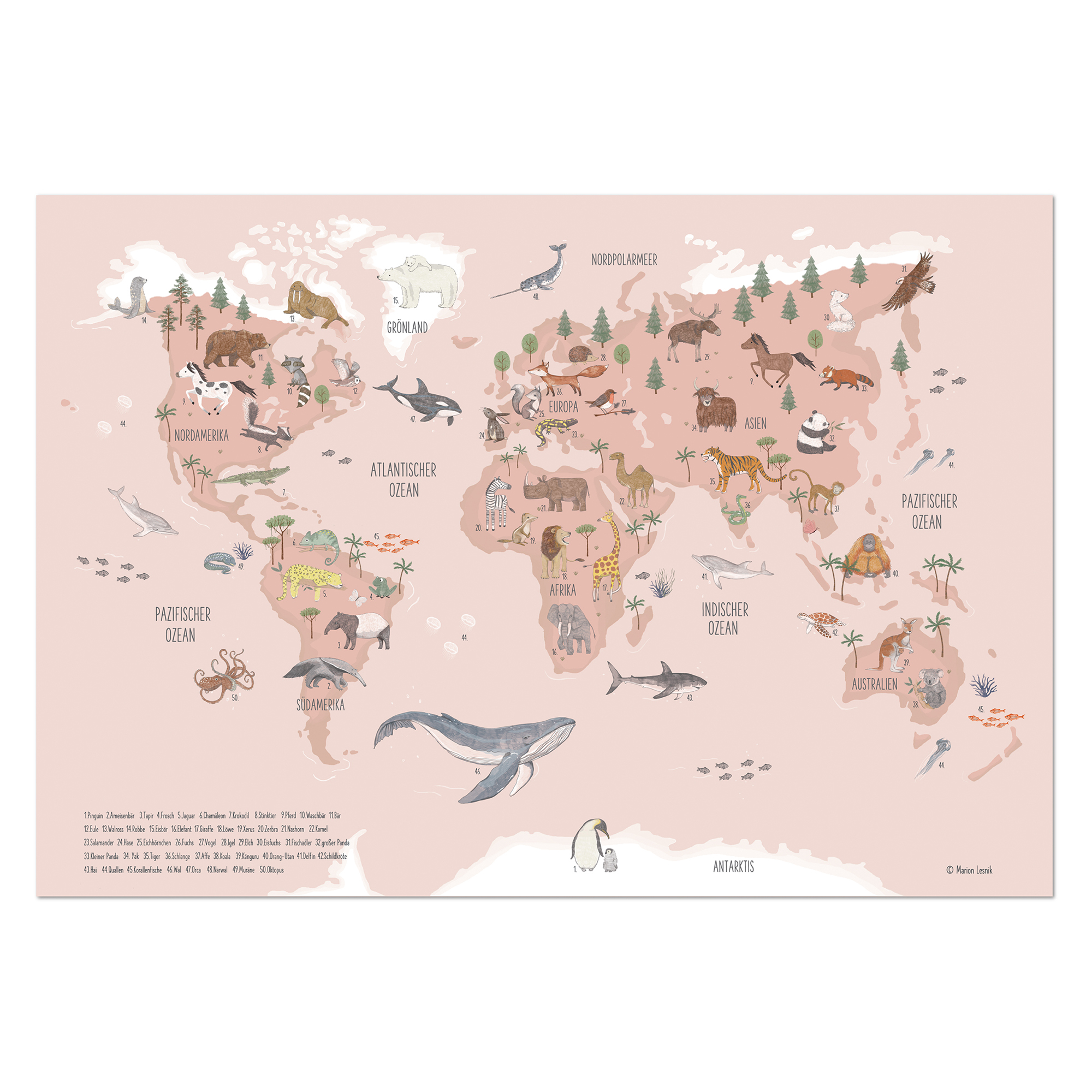 Lernposter für Kinder „Tiere dieser Welt Rosa“ – Weltkarte Wandbild 60 x 80 cm auf Premiumpapier