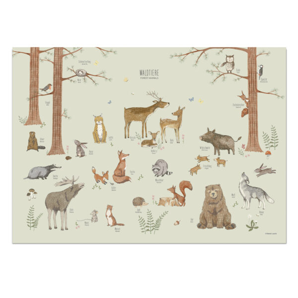 Lernposter für Kinder – „Waldtiere Deutsch in grün“ - Wandbild 50 x 70 cm aus Premiumpapier